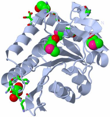 Image Biol. Unit 1 - sites