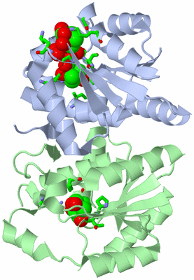 Image Asym./Biol. Unit - sites