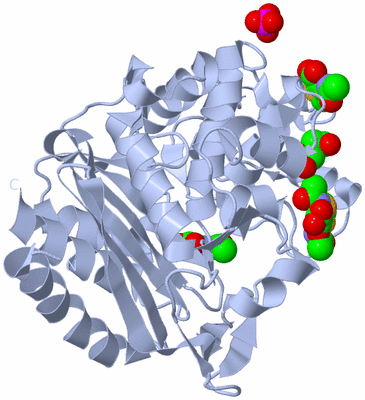 Image Biological Unit 1