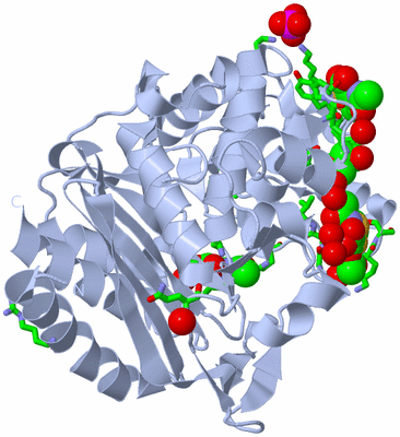 Image Biol. Unit 1 - sites