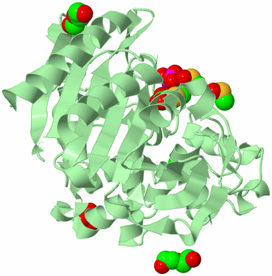 Image Biological Unit 2