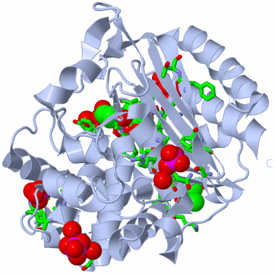 Image Biol. Unit 1 - sites