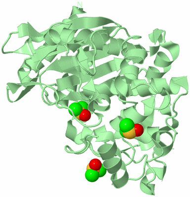 Image Biological Unit 2