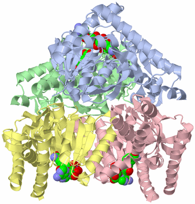 Image Asym./Biol. Unit