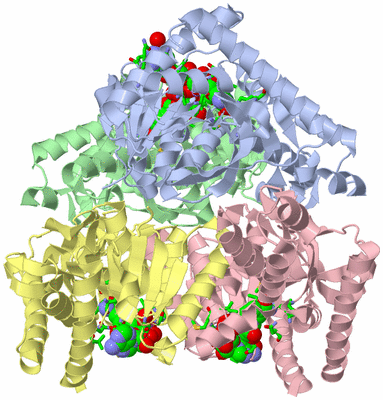 Image Asym./Biol. Unit - sites