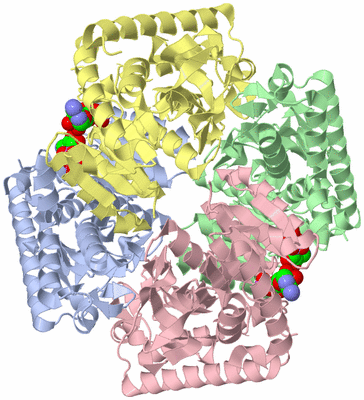 Image Biological Unit 1