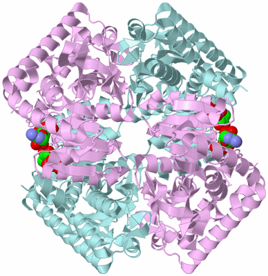 Image Biological Unit 2