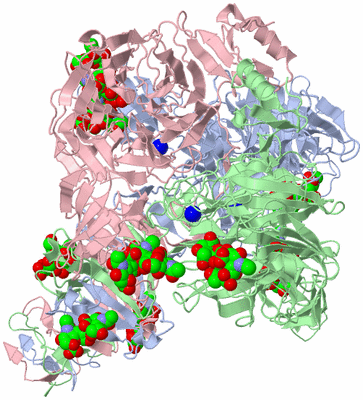 Image Asym./Biol. Unit