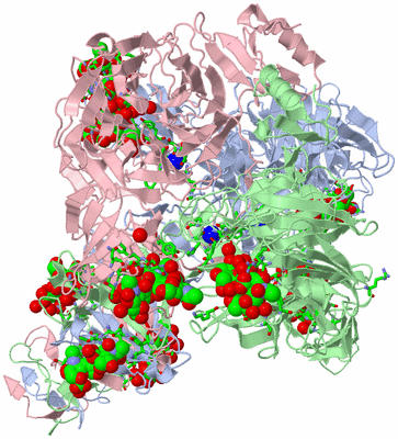 Image Asym./Biol. Unit - sites