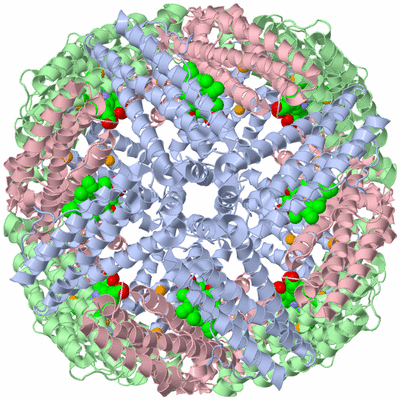 Image Biological Unit 1