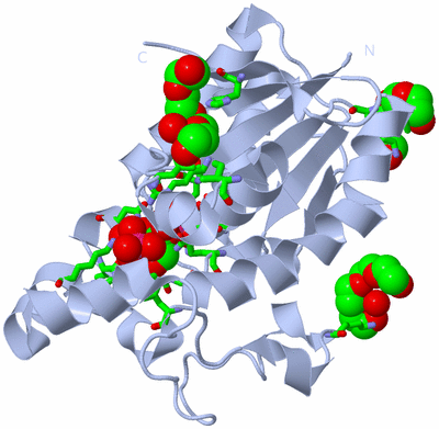 Image Biol. Unit 1 - sites