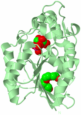 Image Biological Unit 2