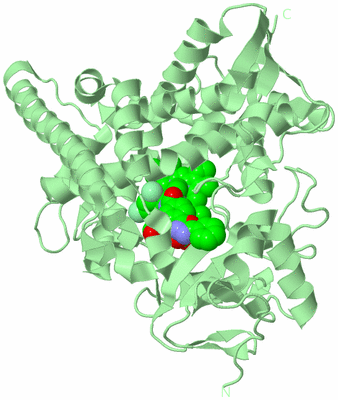 Image Biological Unit 2