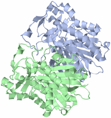 Image Asym./Biol. Unit