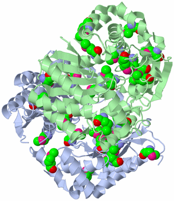 Image Asym./Biol. Unit