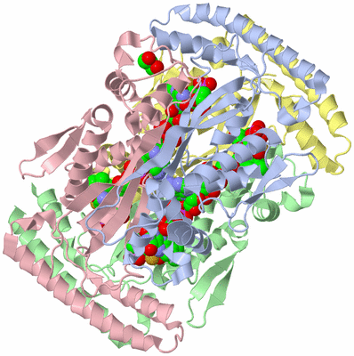 Image Biological Unit 1