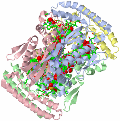 Image Biol. Unit 1 - sites