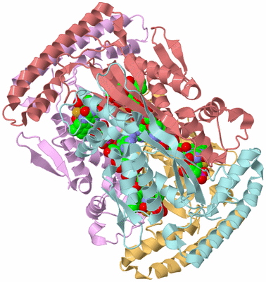 Image Biological Unit 2