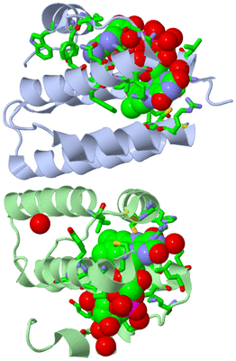 Image Asym./Biol. Unit - sites