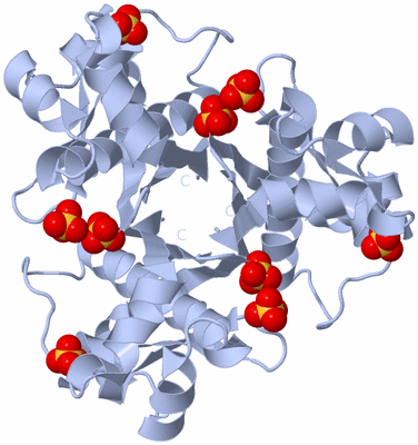 Image Biological Unit 1