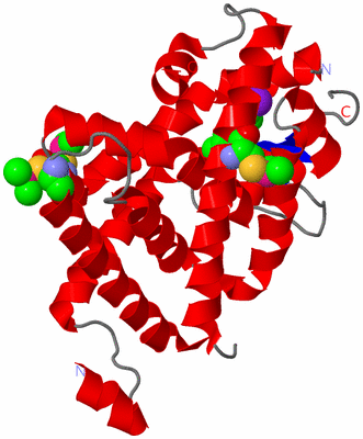 Image Asym./Biol. Unit