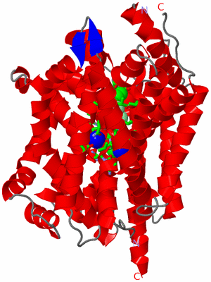 Image Asym. Unit - sites