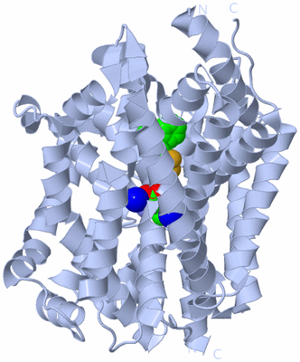 Image Biological Unit 1