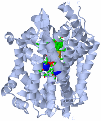 Image Biol. Unit 1 - sites