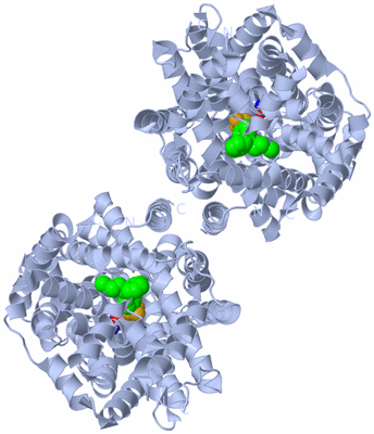 Image Biological Unit 2