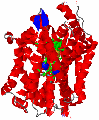 Image Asym. Unit - sites