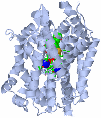 Image Biol. Unit 1 - sites