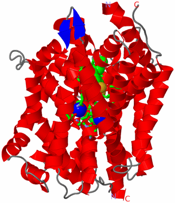 Image Asym. Unit - sites