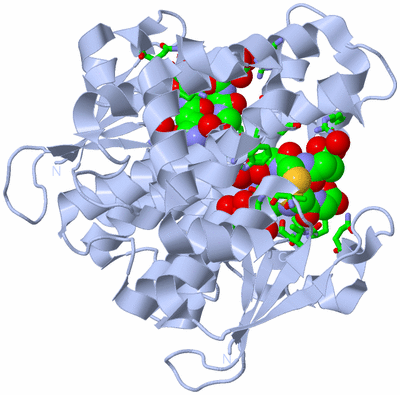 Image Biol. Unit 1 - sites