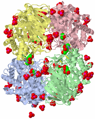 Image Biological Unit 1