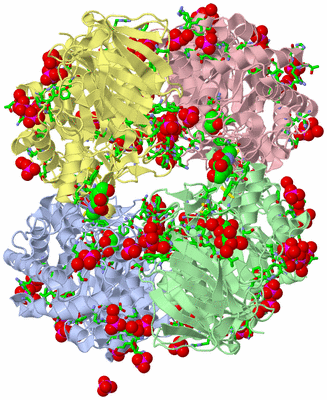 Image Biol. Unit 1 - sites