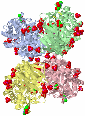 Image Biological Unit 2