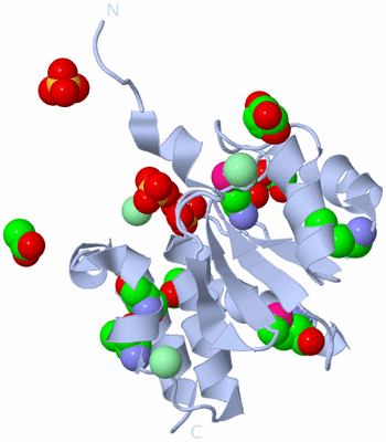 Image Biological Unit 1