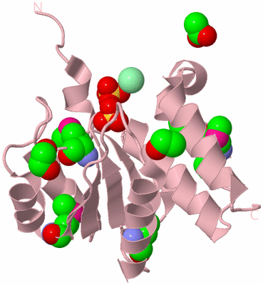 Image Biological Unit 3