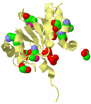 Image Biological Unit 4