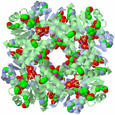 Image Biological Unit 5