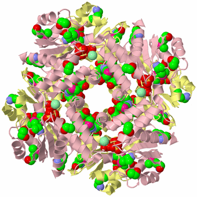 Image Biological Unit 6