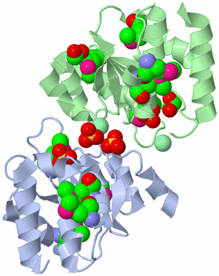 Image Biological Unit 3