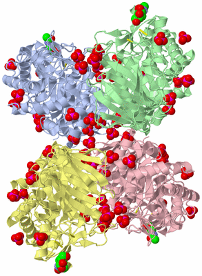 Image Biological Unit 2