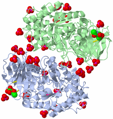 Image Biological Unit 3