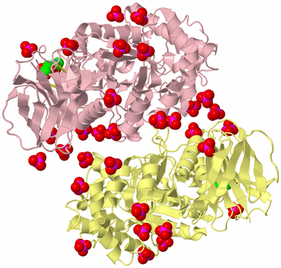 Image Biological Unit 4