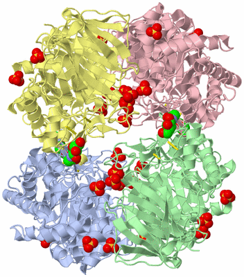 Image Biological Unit 1