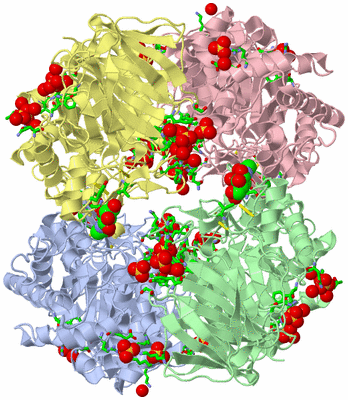 Image Biol. Unit 1 - sites