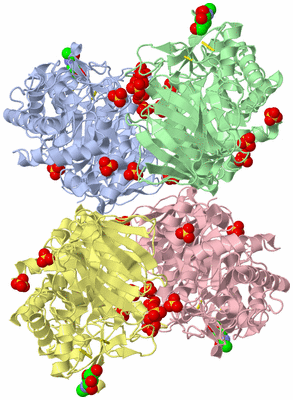 Image Biological Unit 2