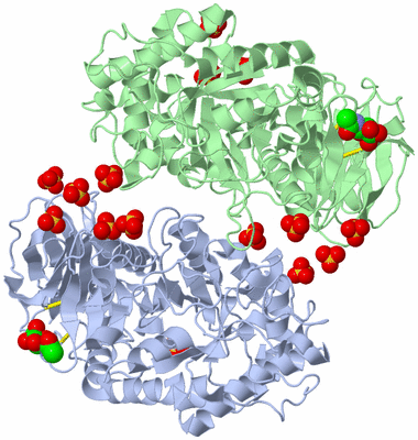 Image Biological Unit 3