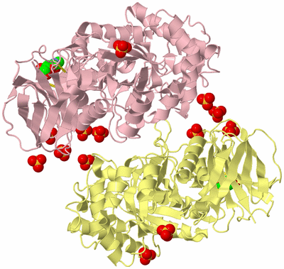 Image Biological Unit 4